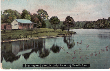 Coloured Postcard entitled 'Blackburn Lake, Victoria, looking South East'.