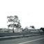 Black and White Photo of East Burwood State School, Corner Highbury and Blackburn Roads.