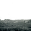Black and white photo of Subdivision of Area of Burwood, Springvale and Highbury Roads.