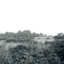 Black and White Photo of Area North of Burwood Road near Dandenong Creek,