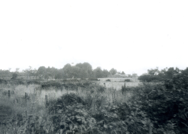 Black and White Photo of Area North of Burwood Road near Dandenong Creek,