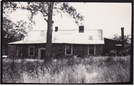 August Schwerkolt's 2nd Home shows front door riddled with white ant - nailed up for 20 years
