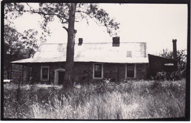 August Schwerkolt's 2nd Home shows front door riddled with white ant - nailed up for 20 years