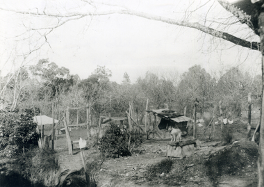 Photograph, Campbell's Poultry Farm, C.1900
