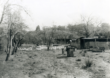 Photograph, Campbell's Poultry Farm