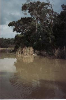 Coloured photo of Blackburn Lake, 1989.