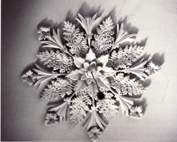 Photograph, Ceiling Rose in Station Master's House, Mitcham