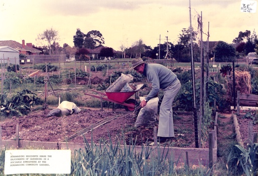 Nunawading Community Gardens.