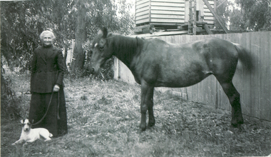 Large black and white photo of Mary Pearce nee Slater taken with horse and dog.  