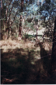 Photograph, Path leading up to Schwerkolt Cottage, 1997
