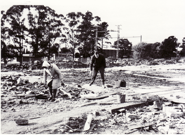 Photograph, Society Members picking over the floor of the packing shed, 20/06/1971 12:00:00 AM