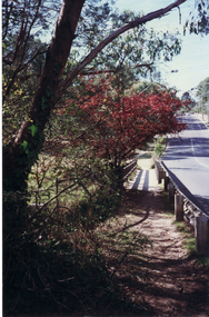 Photograph, Deep Creek Road Bridge