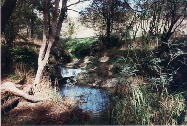 Photograph, Creek in Mullum Mullum Reserve, 1997