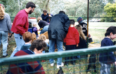 Photograph, Wisteria Party 1997, 1997