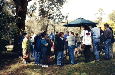 Photograph, Wisteria Party 1997, 1997