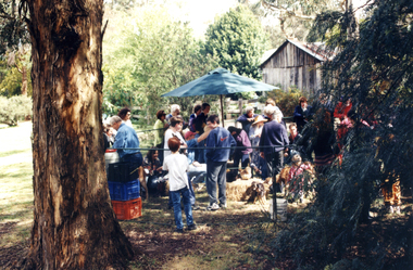 Photograph, Wisteria Party 1997, 1997