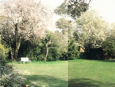 Photograph, Garden at Schwerkolt Cottage, 1989