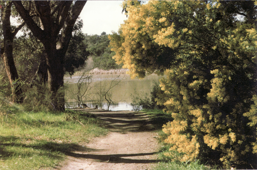 Coloured photo of Lake Road and the end of Blackburn Lake