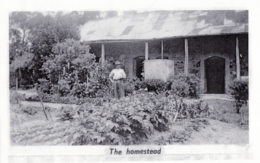 Photograph, Schwerkolt Cottage, 1956