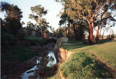Photograph, Koonung Creek, 1/09/1995 12:00:00 AM