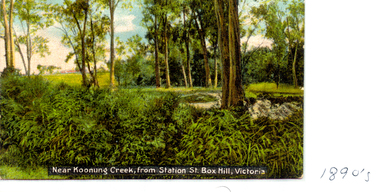 Photograph, Koonung Creek, C.1890's