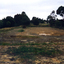 Coloured photo of Narmara Primary School looking East from North West corner, showing site of removal of school buildings. 