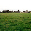 Coloured photo of Narmara Primary School, looking North from south boundary. 