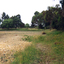 Coloured photo of Narmara Primary School, looking South from North West corner.   School on North side of Highbury Road between Middleborough Road and Blackburn Road. 