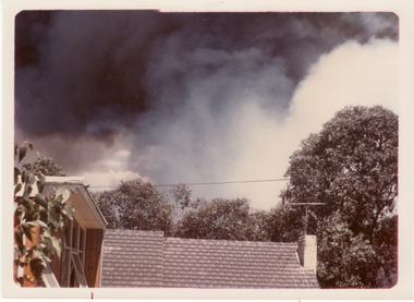 Photograph, Bushfires, 1962