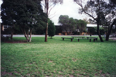 Photograph, Mitcham Primary School