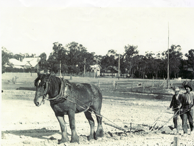 Photograph, Blackburn Bowling Club, C.1926