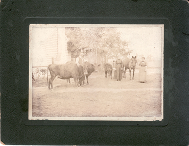 Photograph, Watts Farm, C.1913