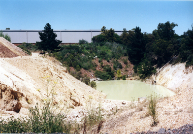 Photograph, Daniel Robertson Australia, 2000
