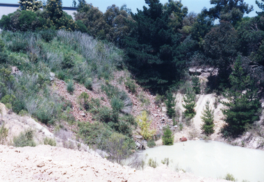 Photograph, Daniel Robertson Australia, 2000