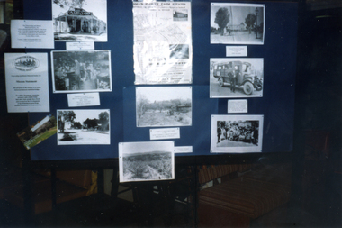 Photograph, Vermont Primary Display, 1/03/2000 12:00:00 AM