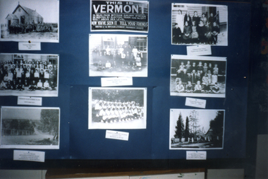 Photograph, Vermont Primary Display, 1999