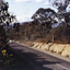 Canterbury Road, Vermont, looking East. Taken in 1967.