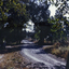 Glenburnie Road, Vermont, taken in 1967, showing dirt track before road was made.