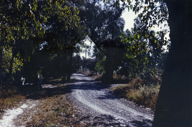 Glenburnie Road, Vermont, taken in 1967, showing dirt track before road was made.