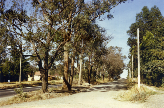 Canterbury Road, Vermont  in 1967 showing one lane road and heavily treed side road.