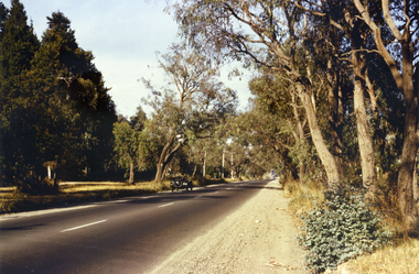 Canterbury Road, Vermont,  in 1967 showing one lane road and heavily treed verge.