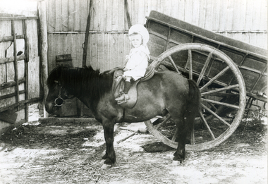 Ronald Erikson as a child, seated on a pony C.1905.
