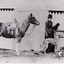 Tess McLelland dressed in riding habit with horse and dogs.