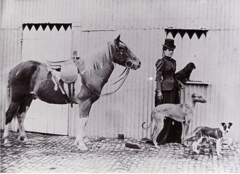 Tess McLelland dressed in riding habit with horse and dogs.