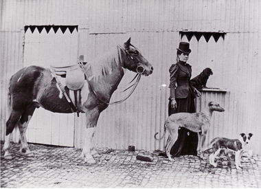 Tess McLelland dressed in riding habit with horse and dogs.
