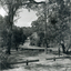 View looking North along Deep Creek Road, Mitcham, taken from Car Park of Schwerkolt Cottage