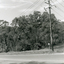 View East along Deep Creek Road, Mitcham, along South side of creek.