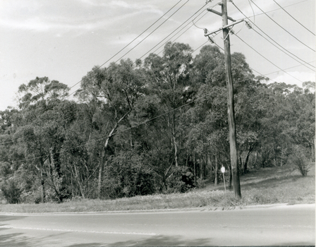 View East along Deep Creek Road, Mitcham, along South side of creek.