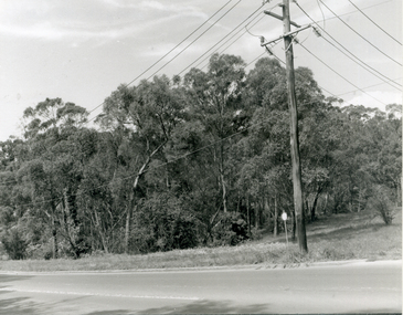 View East along Deep Creek Road, Mitcham, along South side of creek.