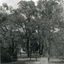 Looking North along Deep Creek Road, Mitcham, from Car Park at Schwerkolt Cottage Museum Complex.